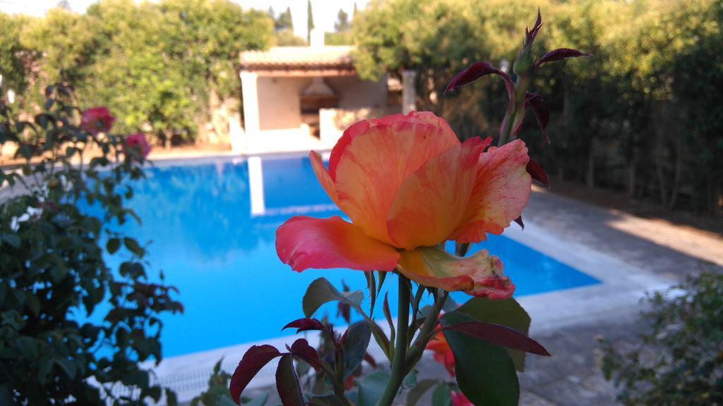 Cha Nanakas Village Inn Potamos  ภายนอก รูปภาพ